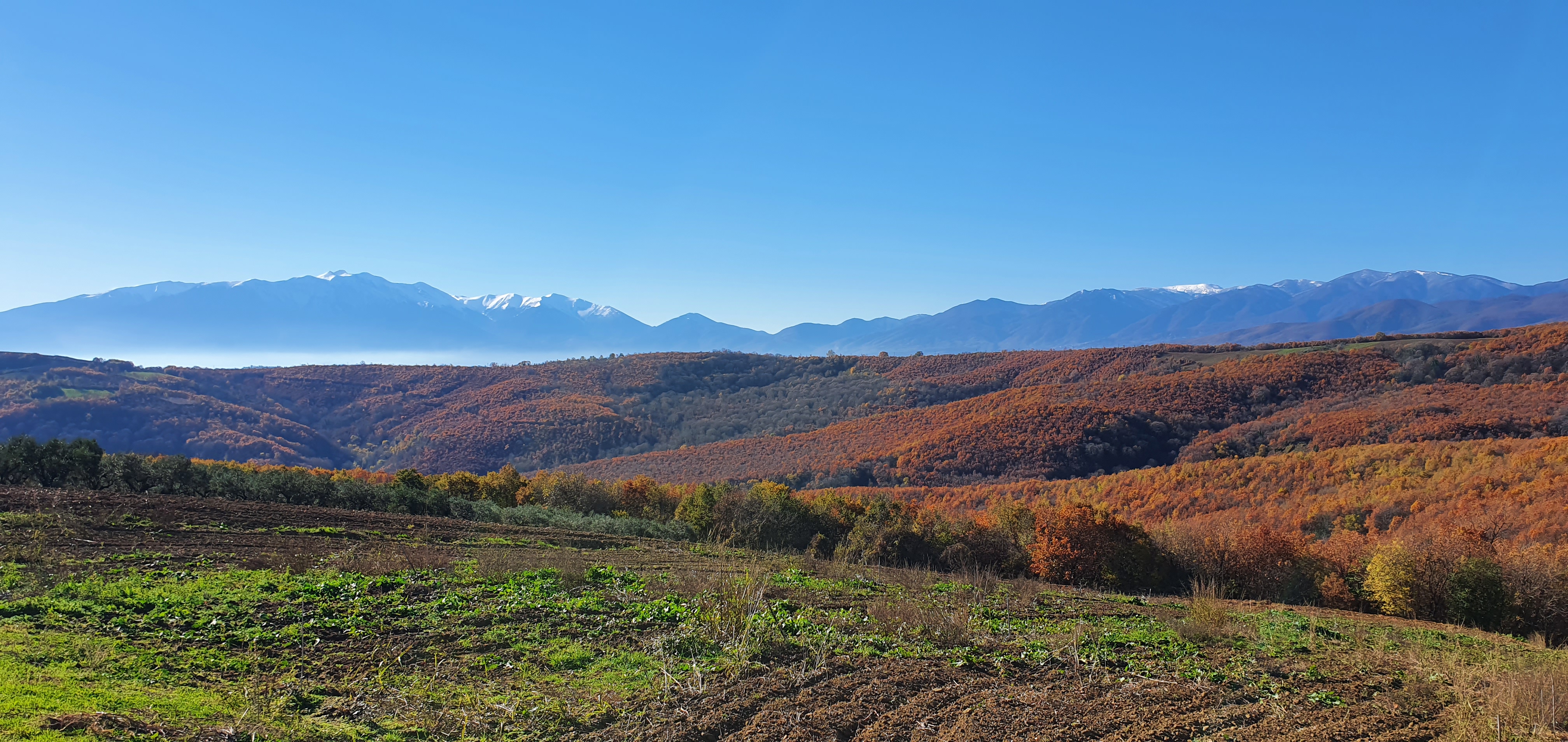 mount athos fields