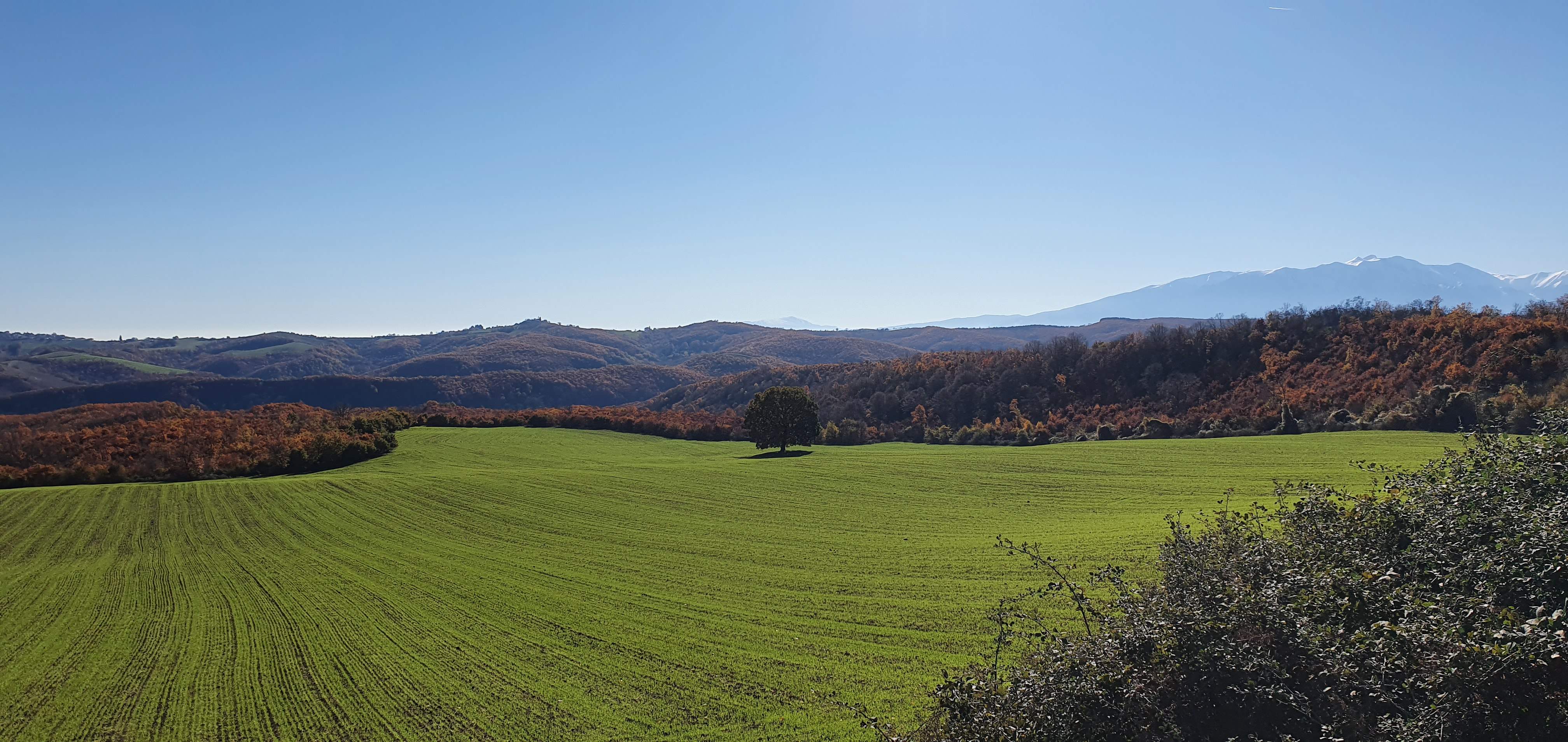nature